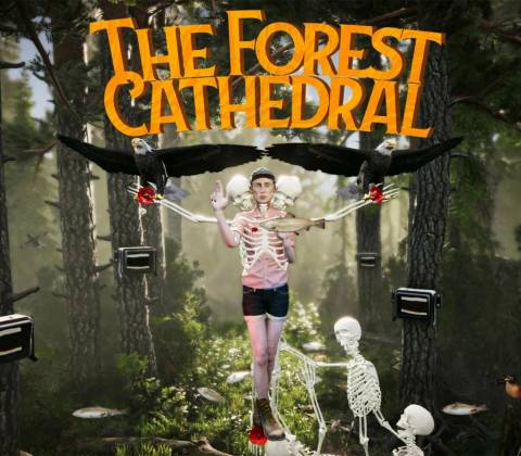 The Forest Cathedral