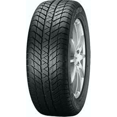 Platin RP-70 WINTER 205/50 R17 93V