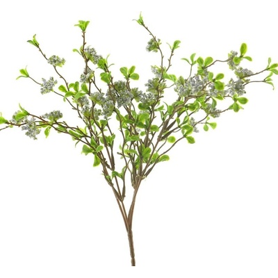 Divoká Gypsophilia x3 keř modrá 33 cm