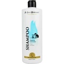 IV San Bernard junior štěňata i koťata 500 ml