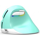 DeLUX M618mini zelená