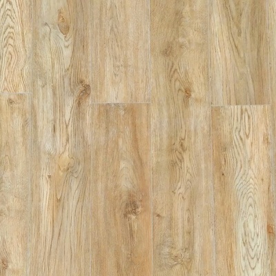 Nero SPC DV 26305 Dub americký 2,2568 m²