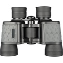 Discovery Flint 8x40