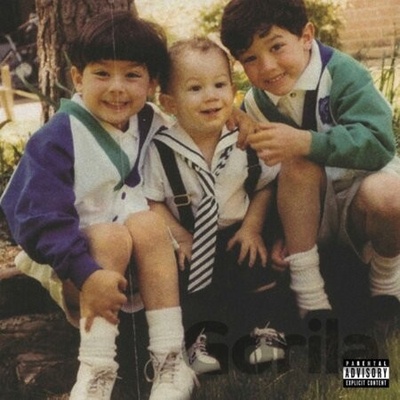 JONAS BROTHERS - THE FAMILY BUSINESS LP