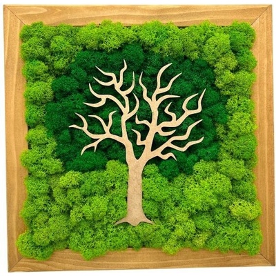 Machový obraz Tree 25x25cm