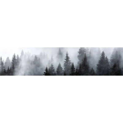 Dimex KI260-143 Fototapeta do kuchyně Dark Forest rozměry 260 x 60 cm