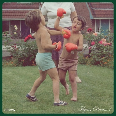 Elbow - LP FLYING DREAM 1