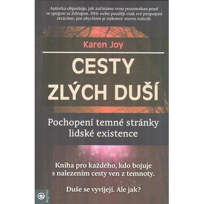 Cesty zlých duší - Karen Joy