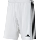 Adidas SQUAD 21