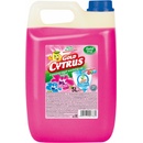 Gold drop Gold Cytrus Wixx na riad Grep/Forest Fruit 5 l