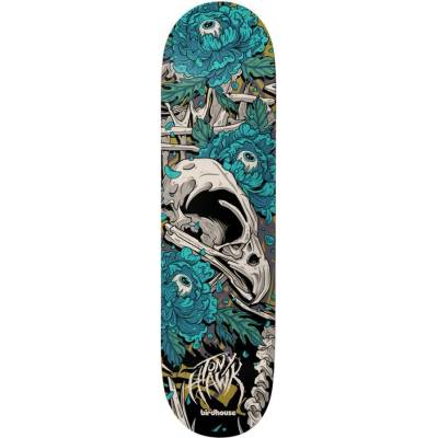 Birdhouse Tony Hawk Tillbrook