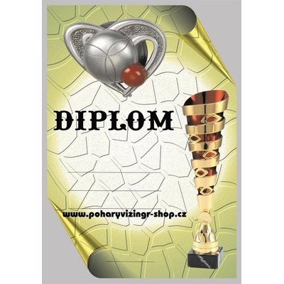 VIZINGR Pétanque diplom A4 č.11