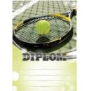 Diplom 6617
