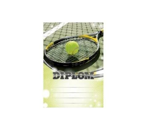 Diplom 6617