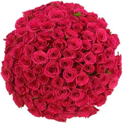 Kytice 100 růžových růží FUCHSIANA 60cm