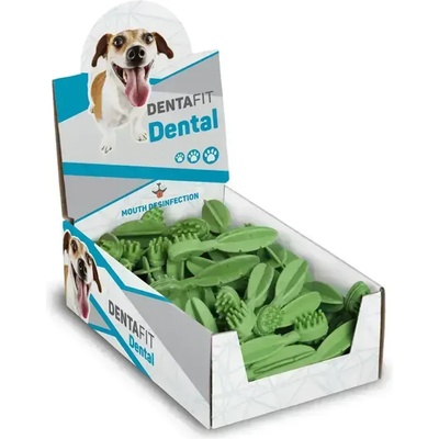 Dafiko Дентален Стик Четка за Зъби Хлорофил 70бр (83816)