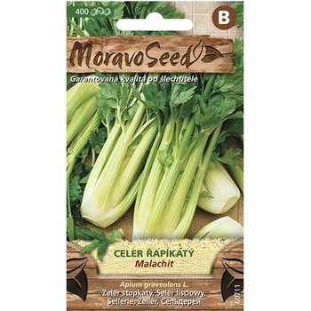 Zeler stopkový Malachit semená MoravoSeed