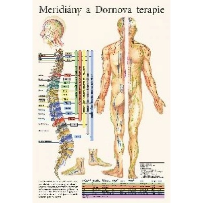 Mapa - Meridiány a Dornova terapie
