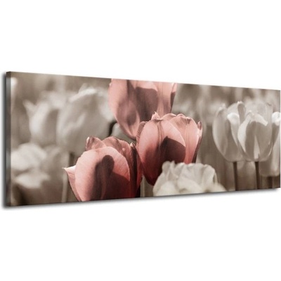 Tulipány 4 plátno 1 100x40