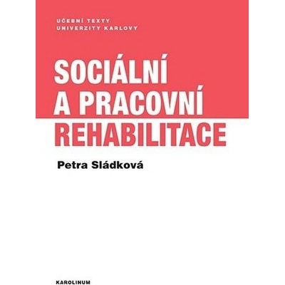 Sociální a pracovní rehabilitace