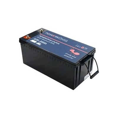 POWERKÖNIG LiFePO4 12,8V 200Ah Smart BMS mit Bluetooth PK12200