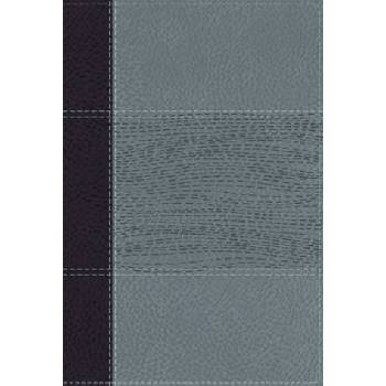 NIV Study Bible, Fully Revised Edition, Personal Size, Leathersoft, Navy/Blue, Red Letter, Comfort Print | Mark L. Strauss, Jeannine K. Brown