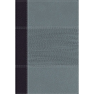 NIV Study Bible, Fully Revised Edition, Personal Size, Leathersoft, Navy/Blue, Red Letter, Comfort Print | Mark L. Strauss, Jeannine K. Brown