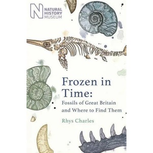 Frozen in Time | Rhys Charles (ISBN: 9781409197966)