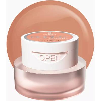 VICTORIA VYNN Vysoce pigmentovaný gel BOOMY OMBRE Gel beige