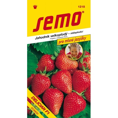 Semo Jahodník velkoplodý - Delician F1 12s - série Pro mlsné jazýčky