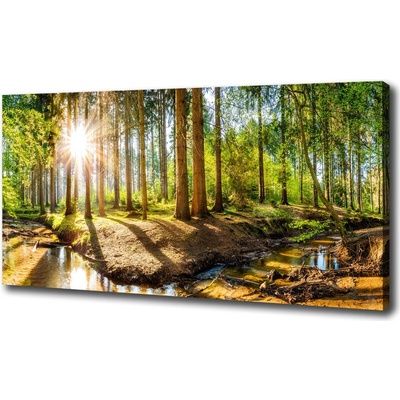 Foto obraz na plátne do obývačky Panorama les 100x50 cm
