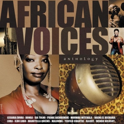 Various - African Voices Anthology CD