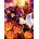 SunsOut - Puzzle Gelsinger: Happy Haunts - 500 piese