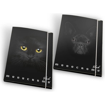 Папка картон с ластик Pigna Monocromo Black (1303310-0230859-3L)