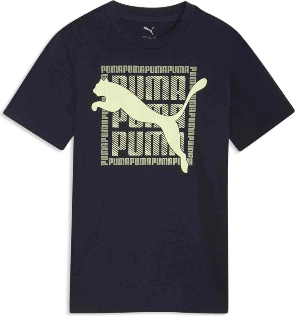 Puma Graphic Tee