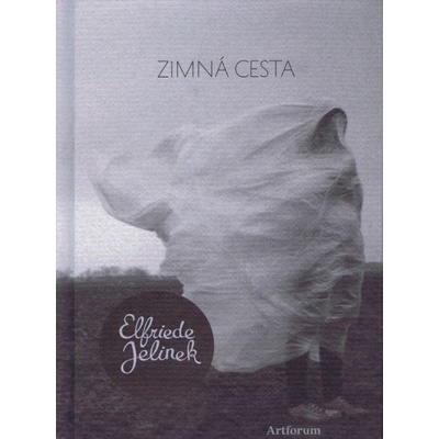 Zimná cesta