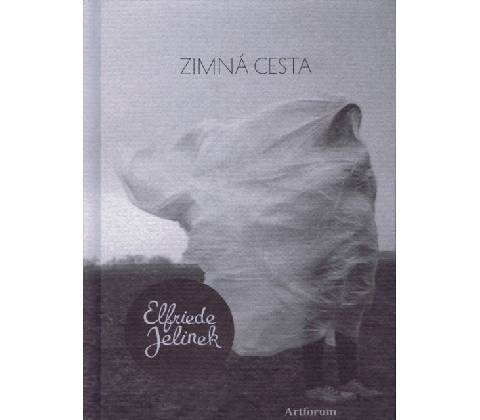 Zimná cesta