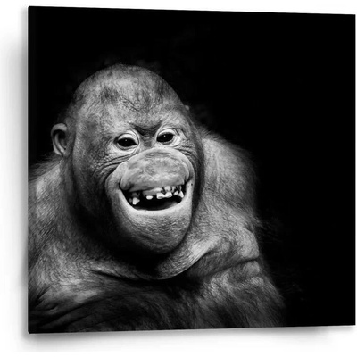 Sablio Obraz Orangutan - 50x50 cm