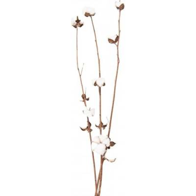 Bílo hnědá dekorační květina bavlník – 80 cm