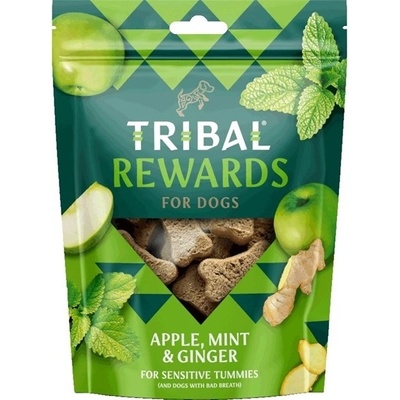 Tribal Snack Apple Mint & Ginger 125 g
