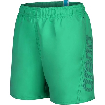 Arena Fundamentals logo jr boxer 10-11y
