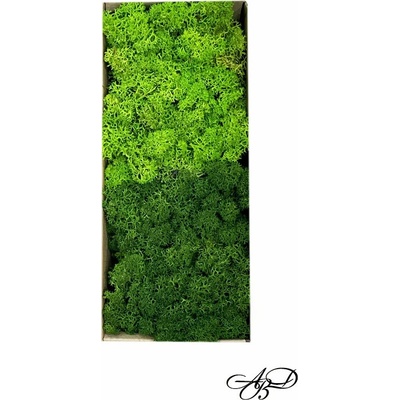 Art Design Beni Скандинавски мъх 2 цвята по 100 гр (25-28)