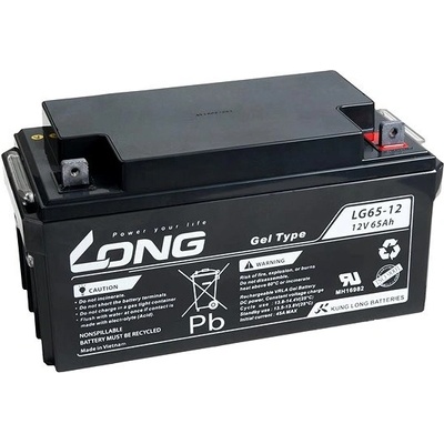 Long 12V 65Ah PBLO-12V065-F4GD