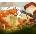 Mushroom Wars 2