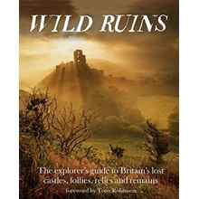 Wild Ruins: The Explorer's Guide to Britain L... - Dave Hamilton