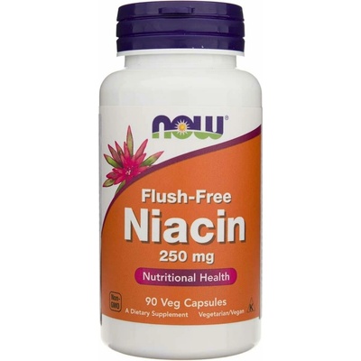 Now Foods Foods Niacin 250 mg Flush Free 90 veg kapslí