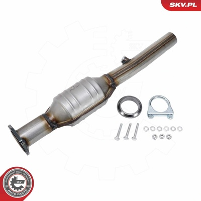 Katalyzátor ESEN SKV 62SKV154