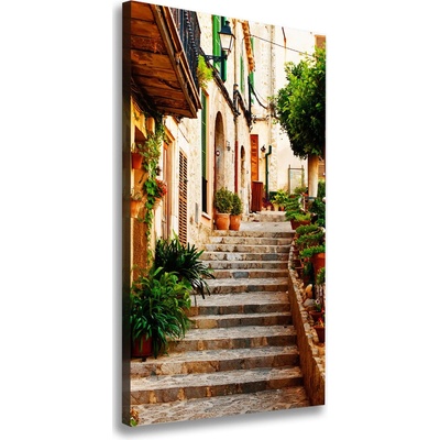 Vertikálny foto obraz na plátne Uličky v Španielsku 50x100 cm