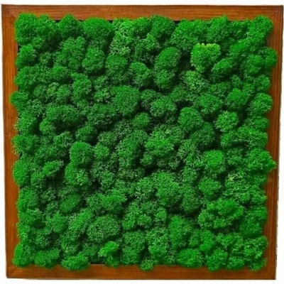 Mechový obraz - LIŠ Druh rámu: 100x40cm