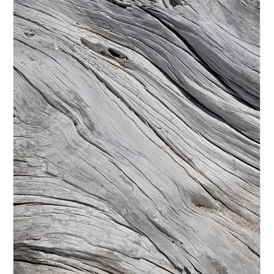 Dimex MS-3-0160 vliesová fototapeta rozměry 225 x 250 cm